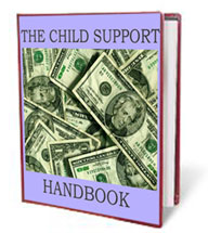 THE CHILD SUPPORT HANDBOOK
